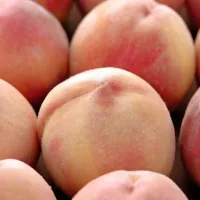 Poletje ponuja tudi sveže breskve. 