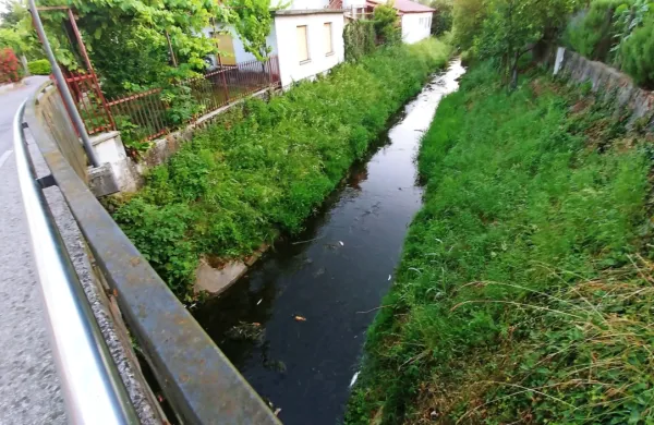 Spet pogin rib v Vrtojbici