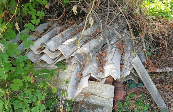 Eden od namenov občinskega sofinanciranja je preprečiti, da bi 
azbestni odpadki končali v naravi.