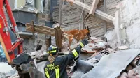 Med ruševinami so ostanke žrtev iskali tudi  psi reševalci. 