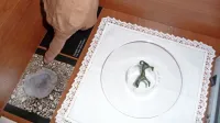 Na sedežu KS Korte hranijo arheološko najdbo s Kaštelirja,  
bronasto figurico psa, in opozarjajo na čašo iz gline.  