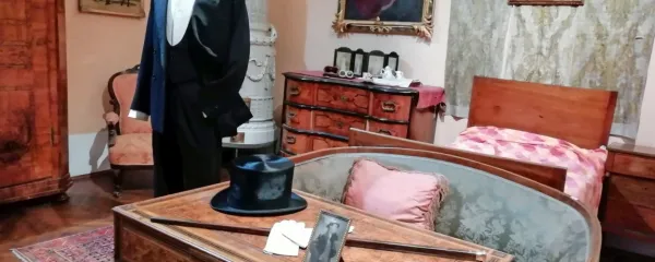 Sobe palače Coronini so opremljene z dragocenim pohištvom in 
številnimi umetniškimi deli.