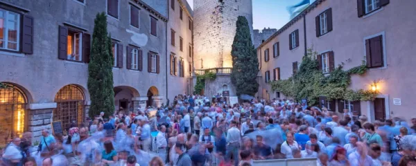 Devinski grad ponuja čudovito kuliso predstavitvi vitovske.