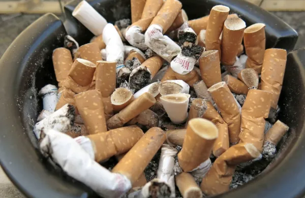 Proti zamiku uvedbe enotne embalaže je tudi vlada.