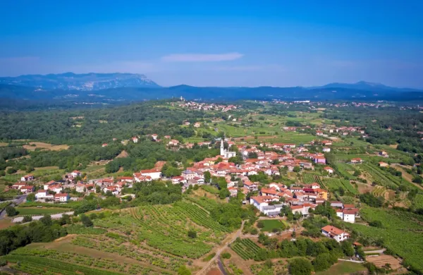 Prostorsko načrtovanje, skrb za okolje, vodooskrba, razvoj turističnih destinacij ... To so naloge, ki se ne končajo na meji občine. 
(Na fotografiji vas Dutovlje na Krasu) 