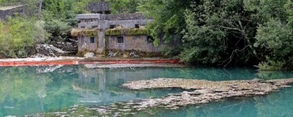 Iz izvira reke Rižane    vode ne zajemajo  vse od nesreče, črpajo le še podtalnico iz črpališča Podračje.   