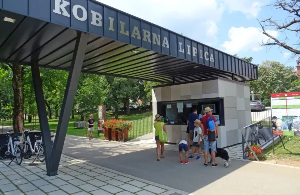 Holding Kobilarna Lipica bo septembra morda dobil novo vodstvo.