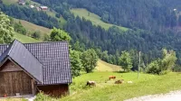 Ob Solčavski panoramski cesti se vrstijo se vrstijo ekološke  in 
turistične kmetije.