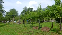 Nasad bo razkril, kaj vse bi še lahko pridelovali v Breginjskem kotu 
in v Posočju.  