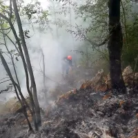 Zaradi strel je bilo minuli konec tedna tudi več požarov v naravi. 