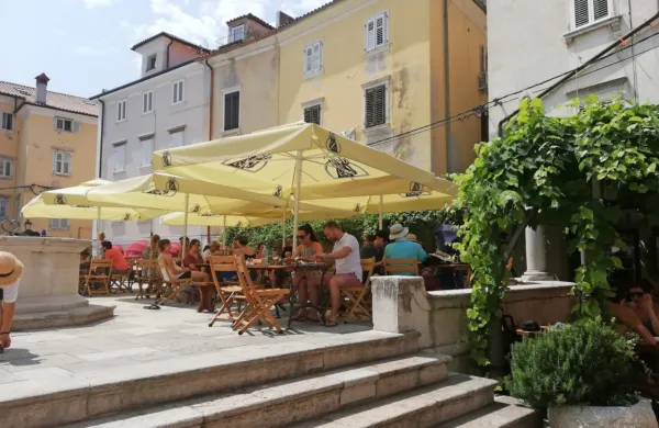 Gostinski lokali so te dni polni gostov in tudi organskih odpadkov 
je zato več.