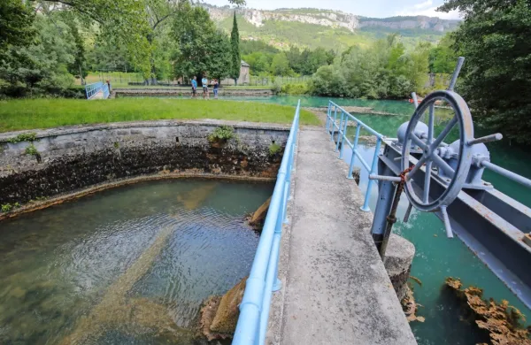 Izvir reke Rižane je  neoporečen.