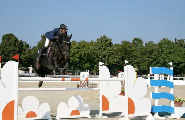 Preskakovanje ovir s konji je vselej magnet za gledalce.