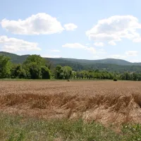 V Vremski dolini so skoraj opustili pridelovanje žit, a včasih je bila, 
po pripovedovanju domačinov, ta dolina eno samo žitno polje. 