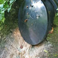 Iz te lopute bi se morala v hudournik v  bližini Gozdne poti v 
Žusterni prelivati zgolj meteorna voda, a so zaradi zamašitve tja 
odtekale tudi fekalije. 