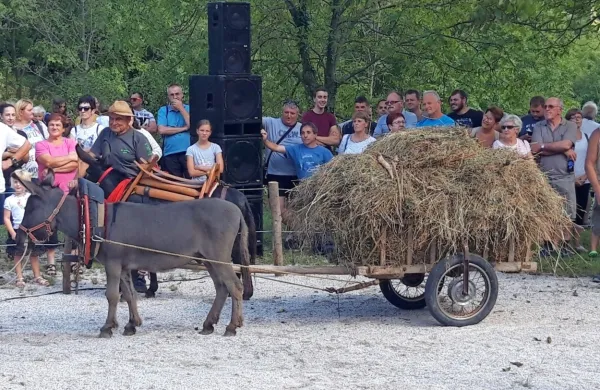 Na muših, ki so jih tekmovalci letos le usmerjali, so jezdile lutke