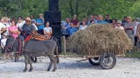 Na muših, ki so jih tekmovalci letos le usmerjali, so jezdile lutke