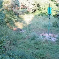 Pogled z opazovalnice na krmišče.