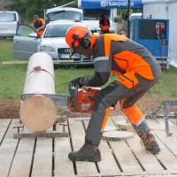 Gozdarji tekmujejo kajpak s svojim osnovnim orodjem - z žago. 