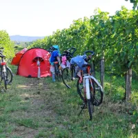 V kampu med vinogradi radi prespijo tudi kolesarji, ki potujejo po 
Slovenji oziroma je Slovenija na njihovi poti.
