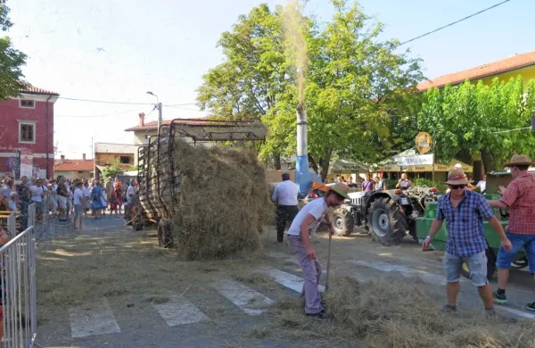 Na današnji  povorki so člani Kraškega traktorskega zbora prikazali 
celoten proces košnje. 
