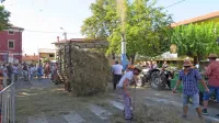 Na današnji  povorki so člani Kraškega traktorskega zbora prikazali 
celoten proces košnje. 