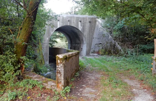 Varnejša cesta in most