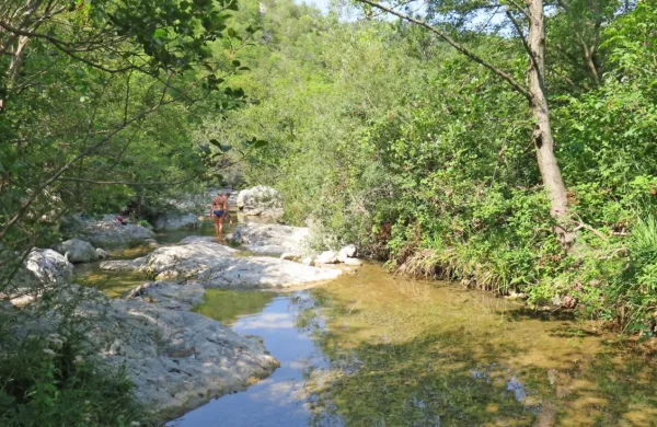 Na najtoplejšo nedeljo v letošnjem poletju smo ob Glinščici opazili 
tudi kopalce.