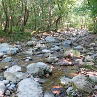  Glinščica je edini površinski vodotok na italijanski strani Krasa.