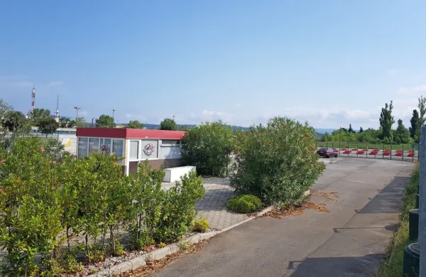 Vhod na karting stezo je povsem zanemarjen, saj  grmičevja že 
dolgo  nihče ni obrezal, na tleh pa je polno suhega listja.   