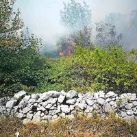 Ogenj je uničeval predvsem borovce, grmičevje in podrast, zaradi 
burje pa se je hitro  širil vzdolž grebena.