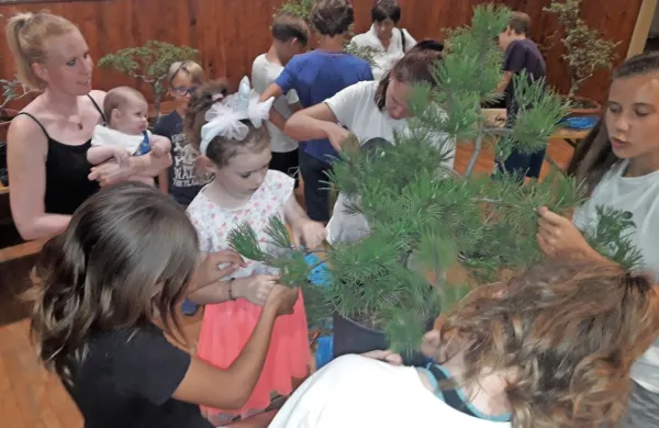 Otroci so se z veseljem naučili osnov gojenja bonsajev.