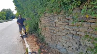 Škarpa na enem od odsekov stare šmarske ceste je vidno 
napihnjena, vmes  zeva luknja, prekrita z gostim listjem, zato ni 
takoj opaziti, da zid skupaj držijo le še drevesne korenine.

