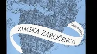  Christelle Dabos  
$@     Zrcalka: Zimska 
zaročenca,  
  prevedla 
Živa Čebulj,  
Sanje,
 416 strani, 
cena 17,95 evra
