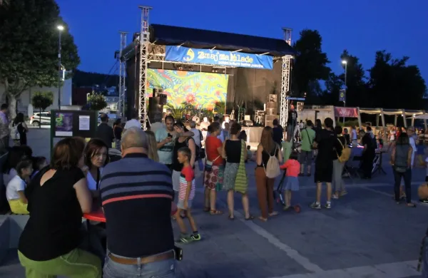 Postojnski festival Zmaj 'ma mlade se bo ta konec tedna zaključil. 