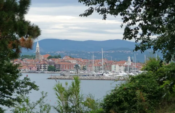 V svetniških klubih, ki so ostali zunaj županove koalicije,  listah Mef 
in Izolani, Izola prihodnosti ter strankah  Levica in  SDS,  so 
prepričani, da je  Izola dobila    prej  interesno združenje  kot pravo 
koalicijo.