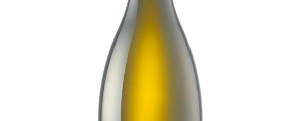 VINO: Chardonnay (Gjerkeš)