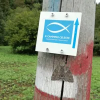 Oznake s stilizirano modro ribico in modre puščice so dovolj na 
gosto posejane po vsej poti, GPS sledi pa vseeno niso odveč.