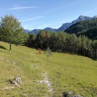 Nebeška pot ponuja ure in ure hoje po naravi, ne da bi srečal 
kogarkoli.