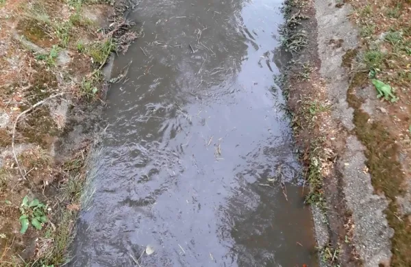 Že ob manjših nalivih se zgodi, da Vrtojbica umazana steče skozi 
vas, čeprav  ima ta popolnoma novo kanalizacijo. 