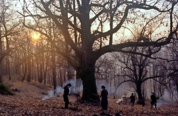Prizor iz filma Zgodbe iz kostanjevih gozdov 