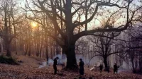 Prizor iz filma Zgodbe iz kostanjevih gozdov 