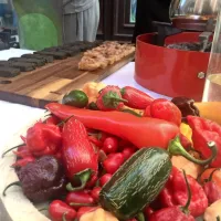 FOTO: Izolska pekoča sobota