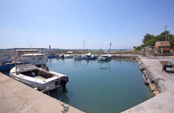 Ribiško pristanišče v Krajinskem parku Seča naj bi bilo kmalu tudi 
bolj urejeno, saj bo svoje zakonske dolžnosti končno prevzelo 
javno podjetje Okolje Piran. 