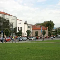 Podnebni štrajk - Koper