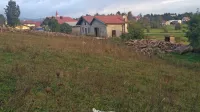 Še neznana zver je kozo in kozlička napadla le lučaj od vasi.