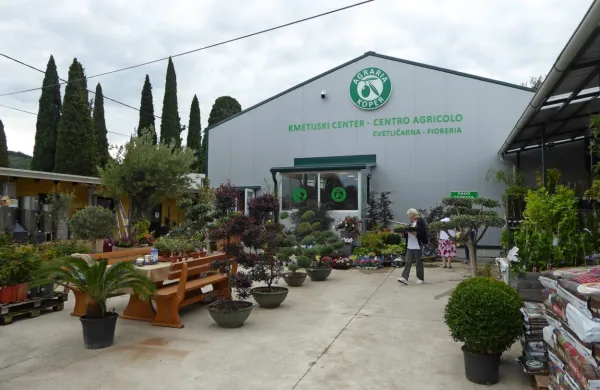 Obnovljen Kmetijski center Izola in  pred njim razstavni prostor ter 
zimski vrt (desno)  