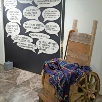 Razstava leta v kleti