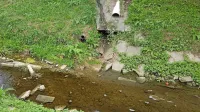 Domačini zahtevajo čisto Vrtojbico. Težave s prelivanjem iz 
razbremenilnika so se lotili  odpravljati.