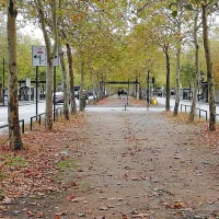 Midsomer boulevard, osrednja ulica, za katero se zdi, da se nikoli 
ne konča. Idilo kvari dejstvo, da imajo avtobusi prednost pred 
pešci. 